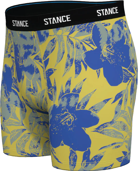 BOYS LIHUE 2 BOXER BRIEF - Image 3
